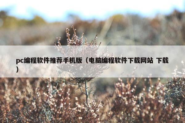 pc编程软件推荐手机版（电脑编程软件下载网站 下载）
