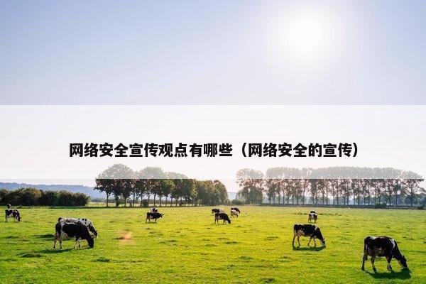 网络安全宣传观点有哪些（网络安全的宣传）