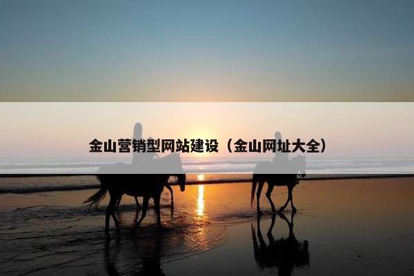 金山营销型网站建设（金山网址大全）