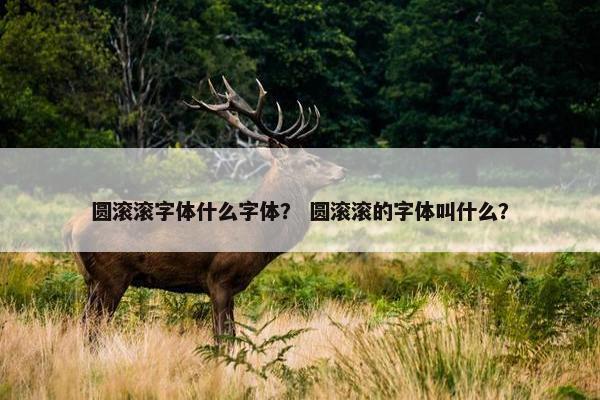 圆滚滚字体什么字体？ 圆滚滚的字体叫什么？