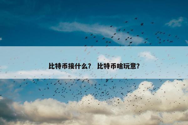 比特币接什么？ 比特币啥玩意？