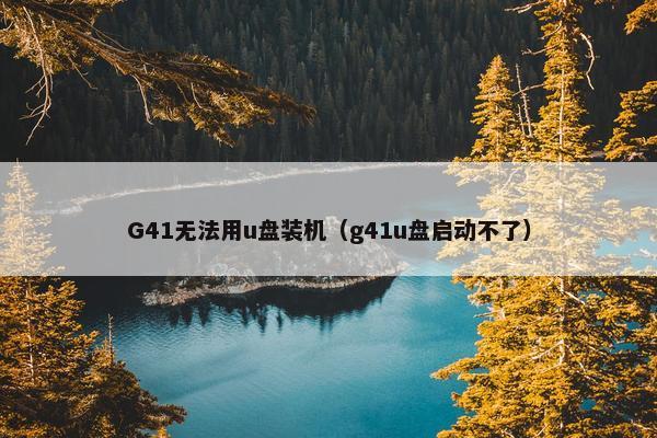 G41无法用u盘装机（g41u盘启动不了）