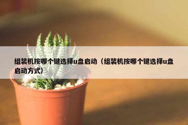 组装机按哪个键选择u盘启动（组装机按哪个键选择u盘启动方式）