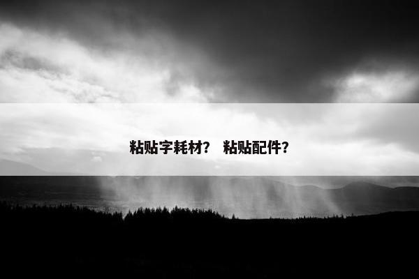 粘贴字耗材？ 粘贴配件？