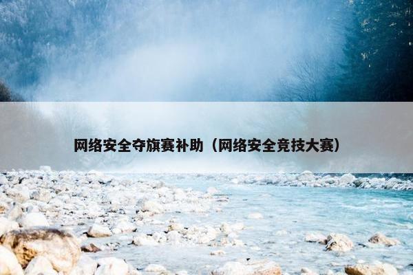 网络安全夺旗赛补助（网络安全竞技大赛）