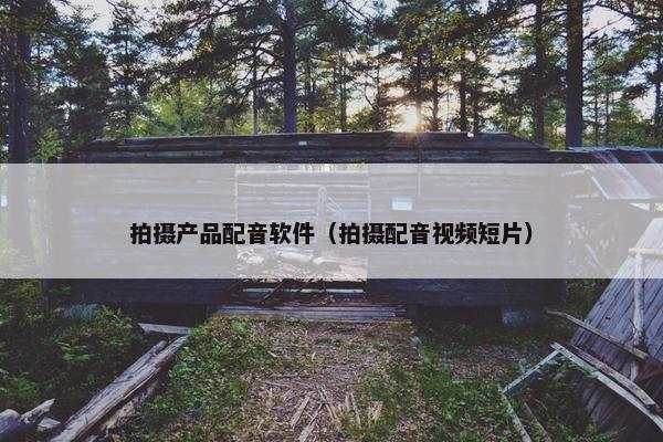 拍摄产品配音软件（拍摄配音视频短片）