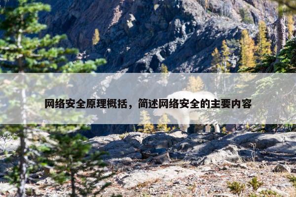 网络安全原理概括，简述网络安全的主要内容