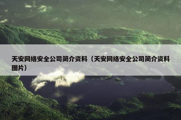 天安网络安全公司简介资料（天安网络安全公司简介资料图片）