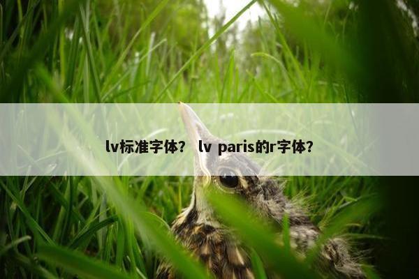 lv标准字体？ lv paris的r字体？