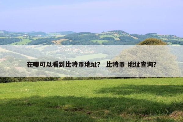在哪可以看到比特币地址？ 比特币 地址查询？