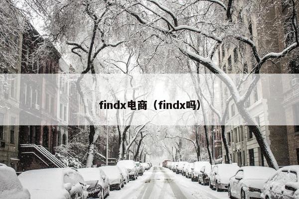 findx电商（findx吗）