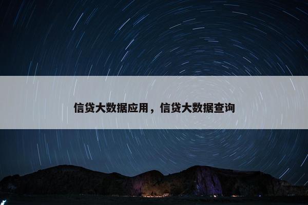信贷大数据应用，信贷大数据查询
