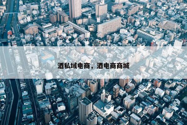 酒私域电商，酒电商商城