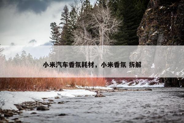 小米汽车香氛耗材，小米香氛 拆解