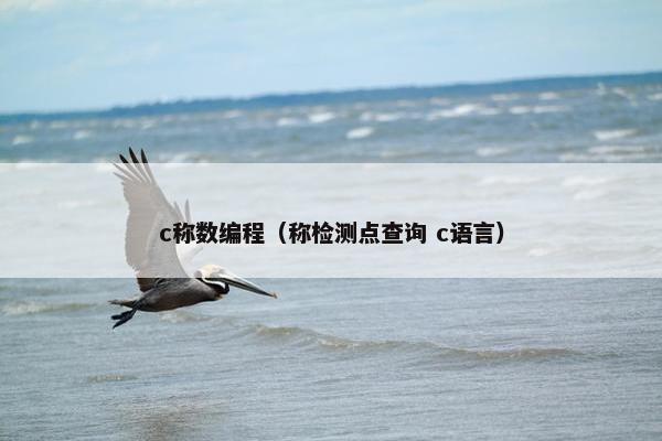 c称数编程（称检测点查询 c语言）