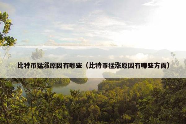 比特币猛涨原因有哪些（比特币猛涨原因有哪些方面）