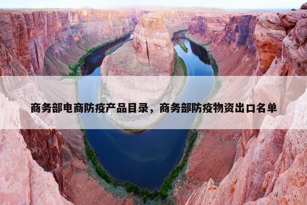 商务部电商防疫产品目录，商务部防疫物资出口名单