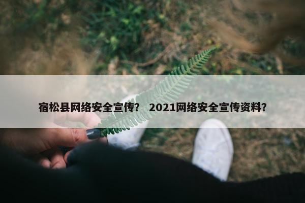 宿松县网络安全宣传？ 2021网络安全宣传资料？