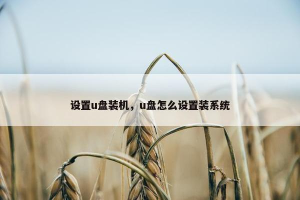 设置u盘装机，u盘怎么设置装系统