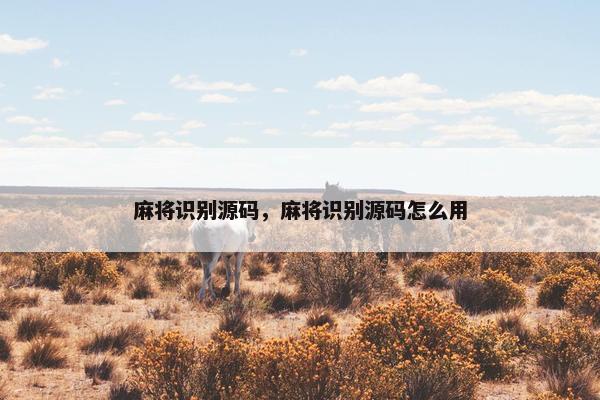麻将识别源码，麻将识别源码怎么用