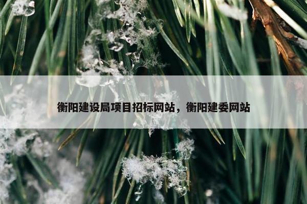 衡阳建设局项目招标网站，衡阳建委网站