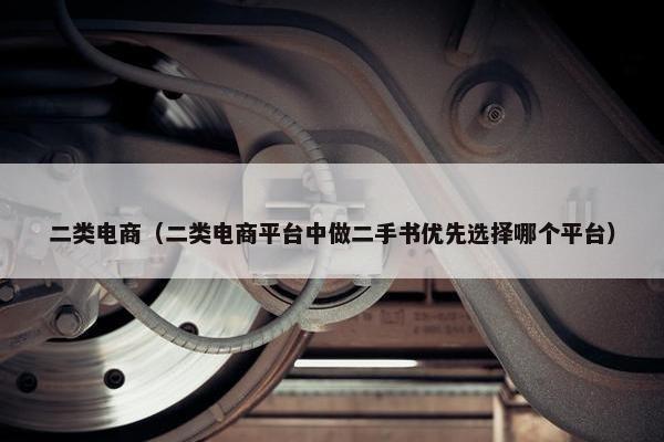 二类电商（二类电商平台中做二手书优先选择哪个平台）