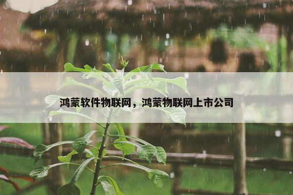 鸿蒙软件物联网，鸿蒙物联网上市公司
