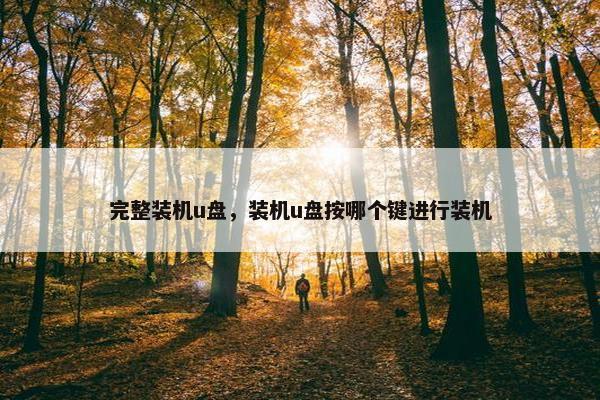 完整装机u盘，装机u盘按哪个键进行装机