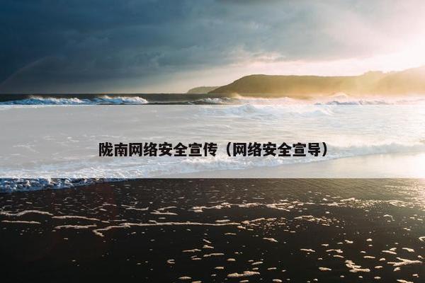陇南网络安全宣传（网络安全宣导）