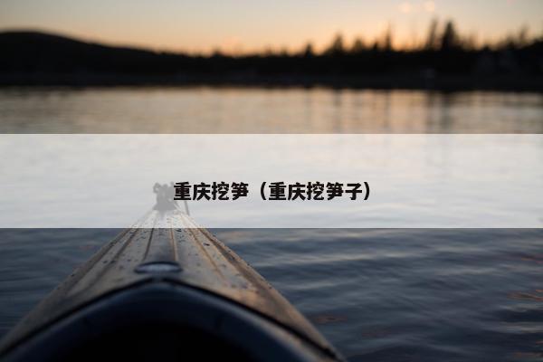 重庆挖笋（重庆挖笋子）