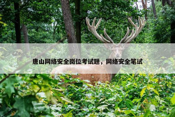 唐山网络安全岗位考试题，网络安全笔试