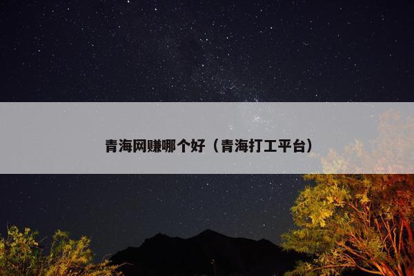 青海网赚哪个好（青海打工平台）