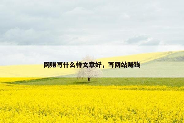 网赚写什么样文章好，写网站赚钱