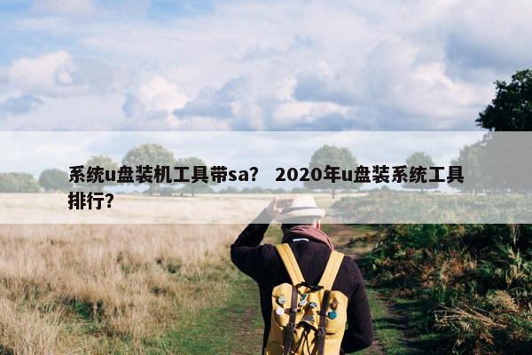系统u盘装机工具带sa？ 2020年u盘装系统工具排行？