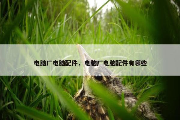 电脑厂电脑配件，电脑厂电脑配件有哪些