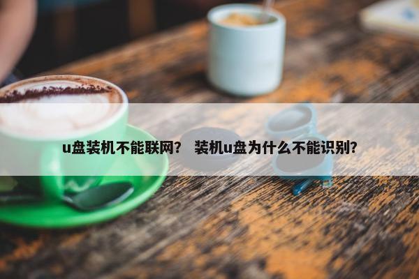 u盘装机不能联网？ 装机u盘为什么不能识别？