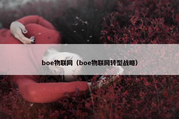 boe物联网（boe物联网转型战略）