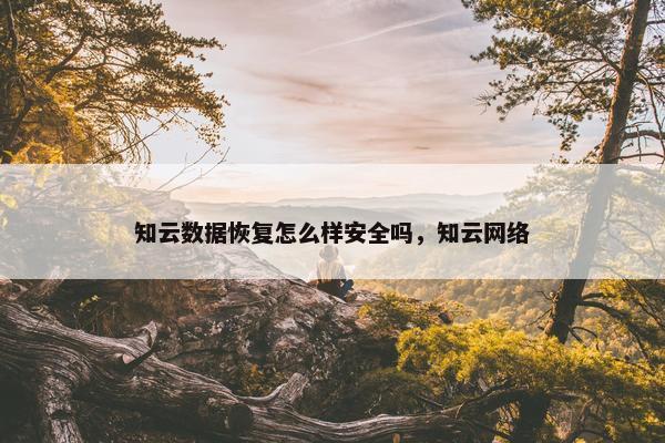 知云数据恢复怎么样安全吗，知云网络