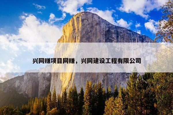 兴网赚项目网赚，兴网建设工程有限公司