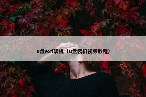 u盘exf装机（u盘装机视频教程）