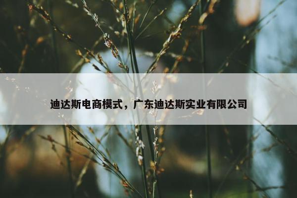 迪达斯电商模式，广东迪达斯实业有限公司