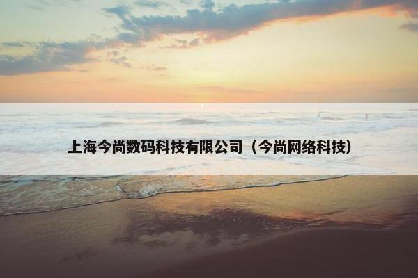 上海今尚数码科技有限公司（今尚网络科技）