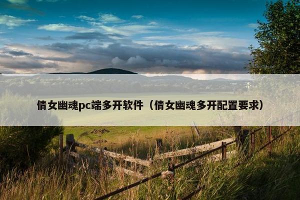 倩女幽魂pc端多开软件（倩女幽魂多开配置要求）
