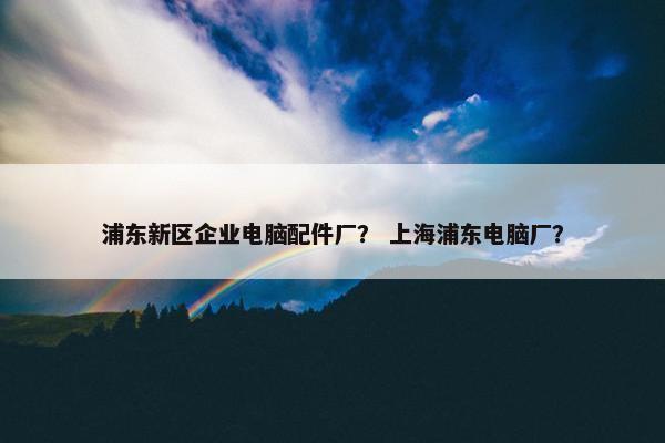 浦东新区企业电脑配件厂？ 上海浦东电脑厂？