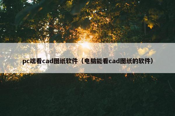 pc端看cad图纸软件（电脑能看cad图纸的软件）