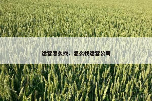 运营怎么找，怎么找运营公司