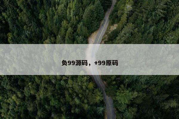 负99源码，+99原码