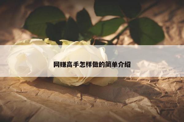 网赚高手怎样做的简单介绍