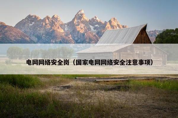 电网网络安全岗（国家电网网络安全注意事项）