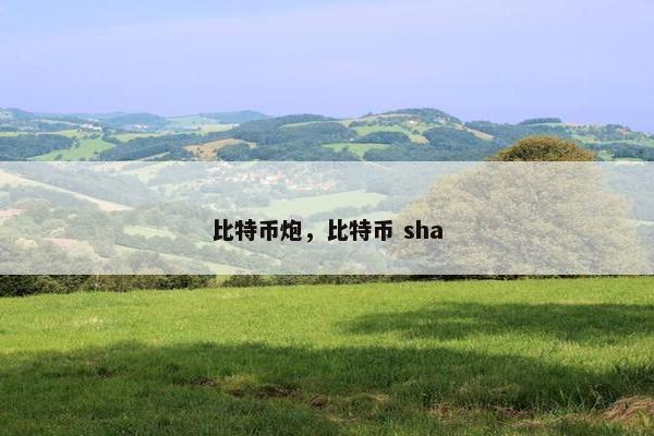 比特币炮，比特币 sha